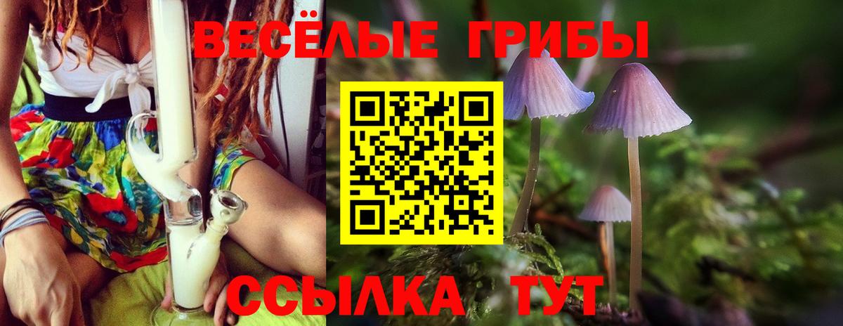 Галлюциногенные грибы Cubensis Архангельск
