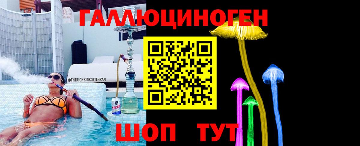 Псилоцибиновые грибы Psilocybe  Вход с VPN  Архангельск 